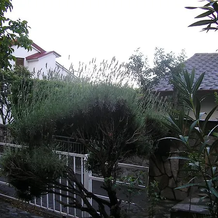 Apartament Bilić *